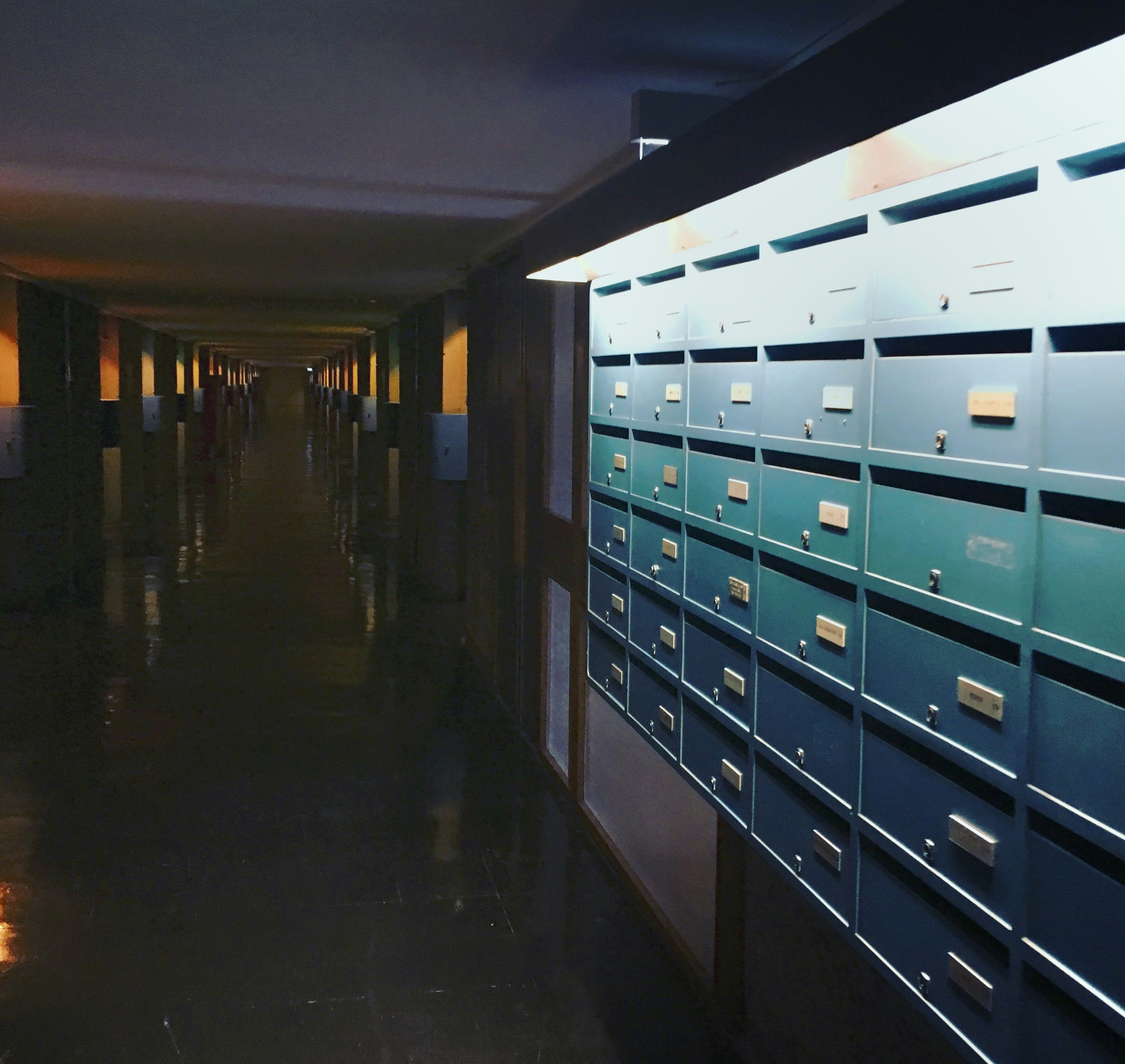 Meublés de tourisme en copropriété : la Cour de cassation saisit le Conseil constitutionnel