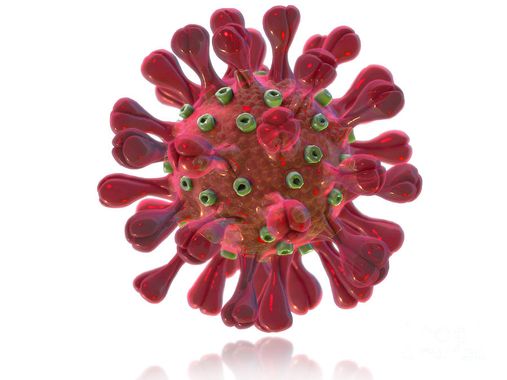 Coronavirus et droit de retrait