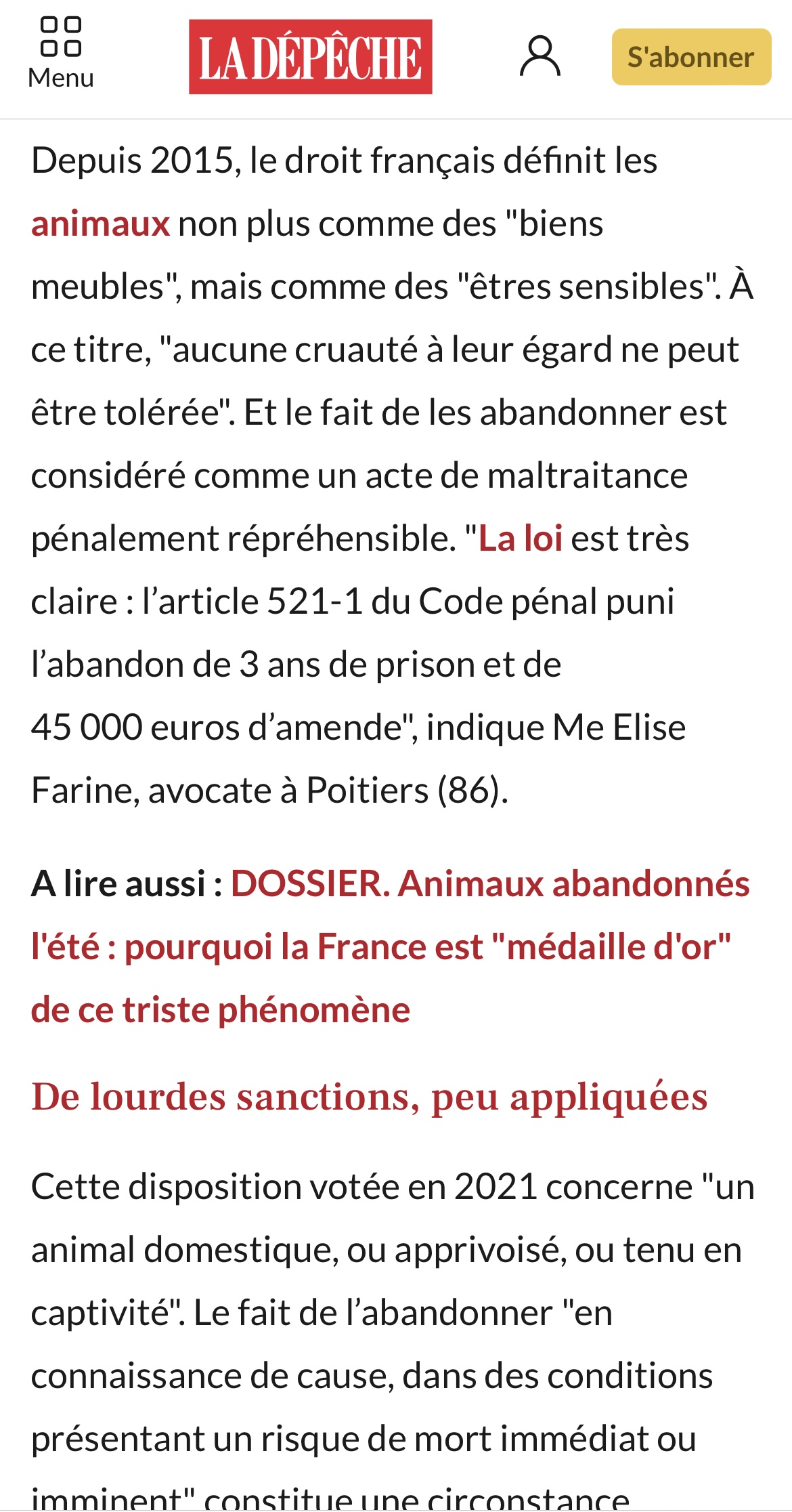 Abandon d’animaux : peines de prison, amendes… que dit la loi et faut-il la durcir ?