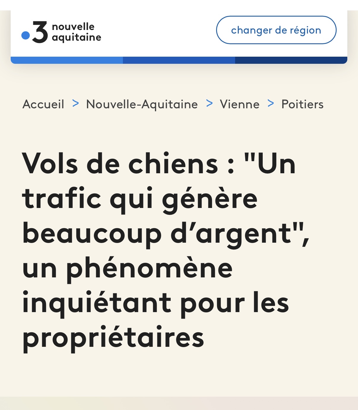 Vols de chiens : "Un trafic qui génère beaucoup d’argent", un phénomène inquiétant pour les propriétaires