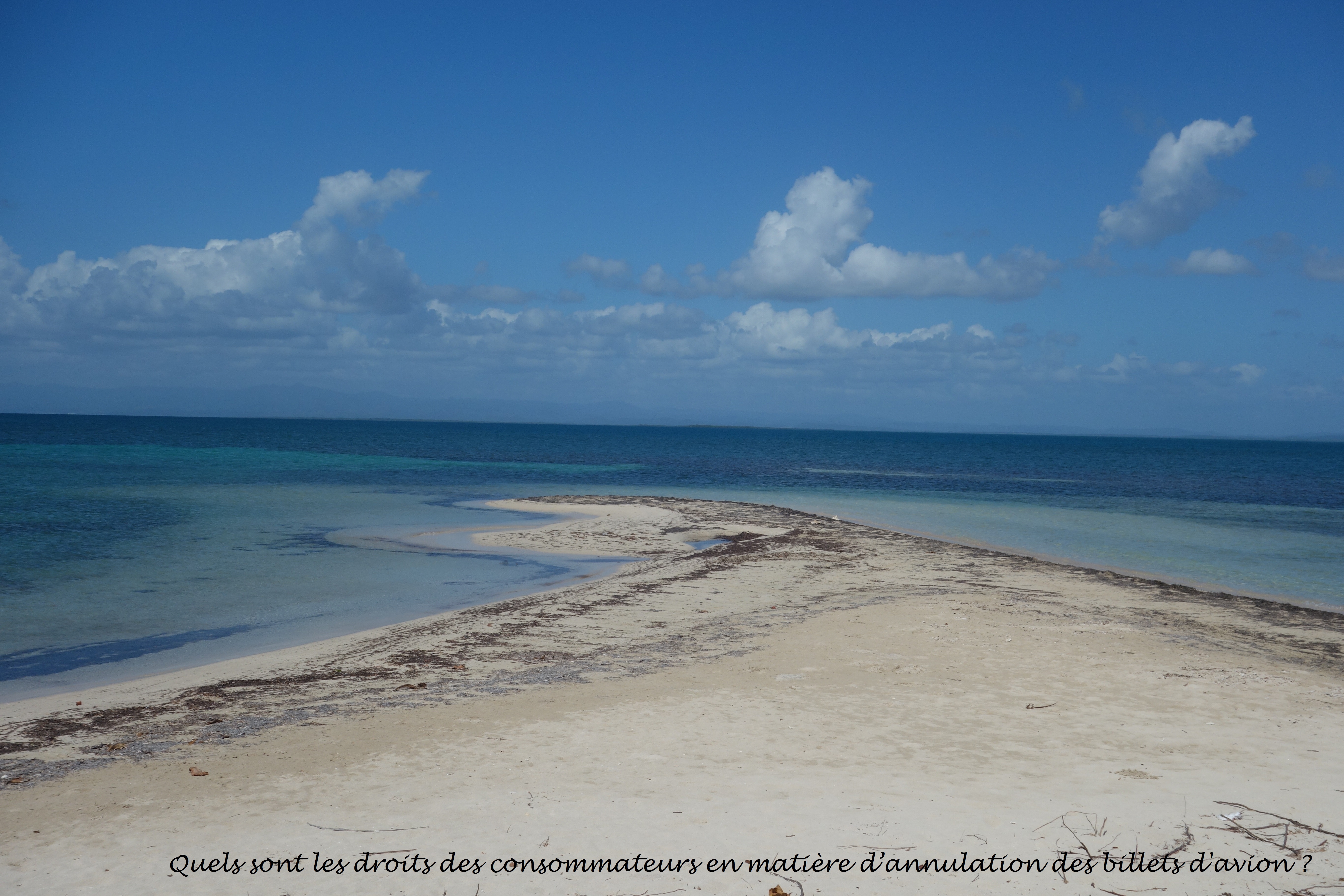 Quels Sont Les Droits Des Consommateurs En Matiere D