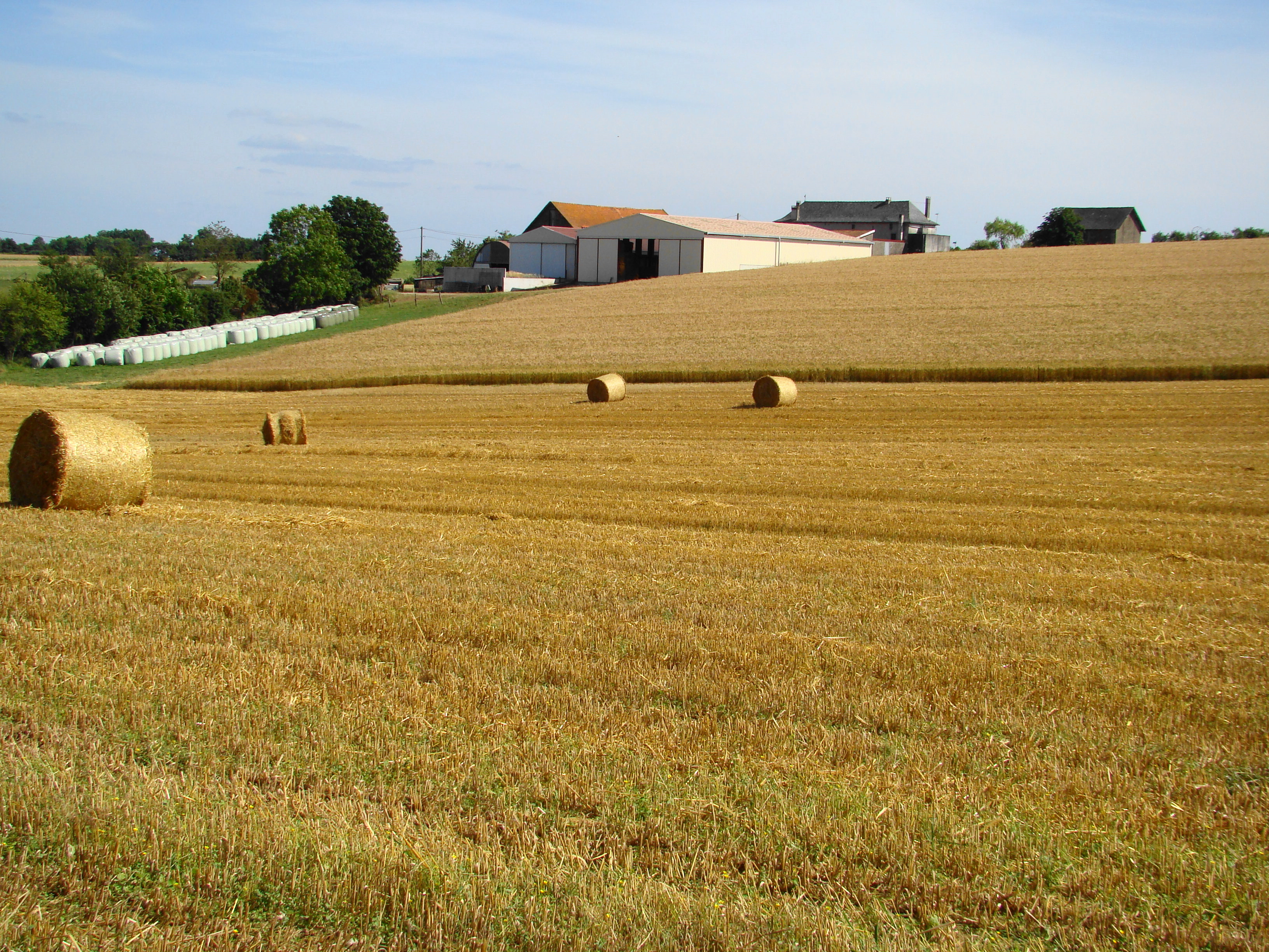 La cession d'un bail rural effectuée sans l'accord du bailleur est nulle et entraîne la résiliation du bail