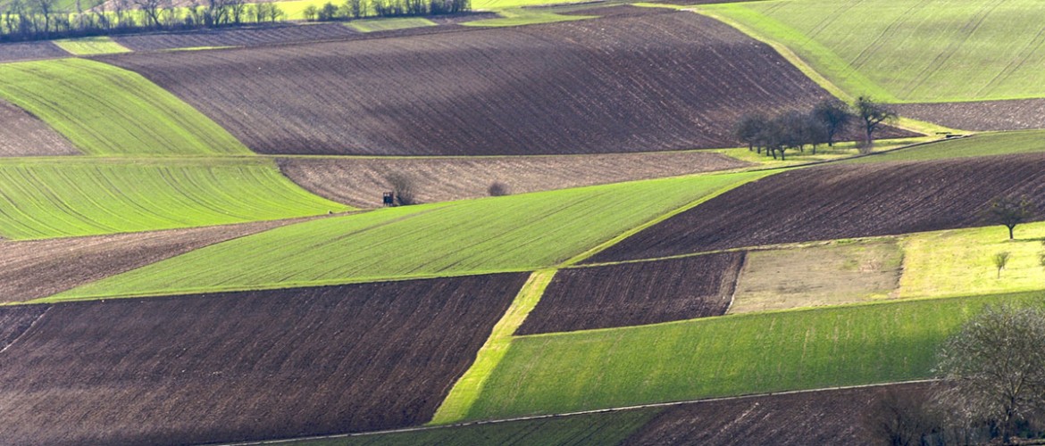 Sort d'une demande d'autorisation d'exploiter en présence d'un fermier en place