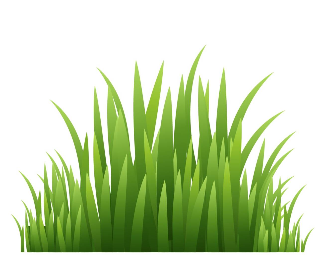 Requalification d'un contrat de vente d'herbe en bail rural