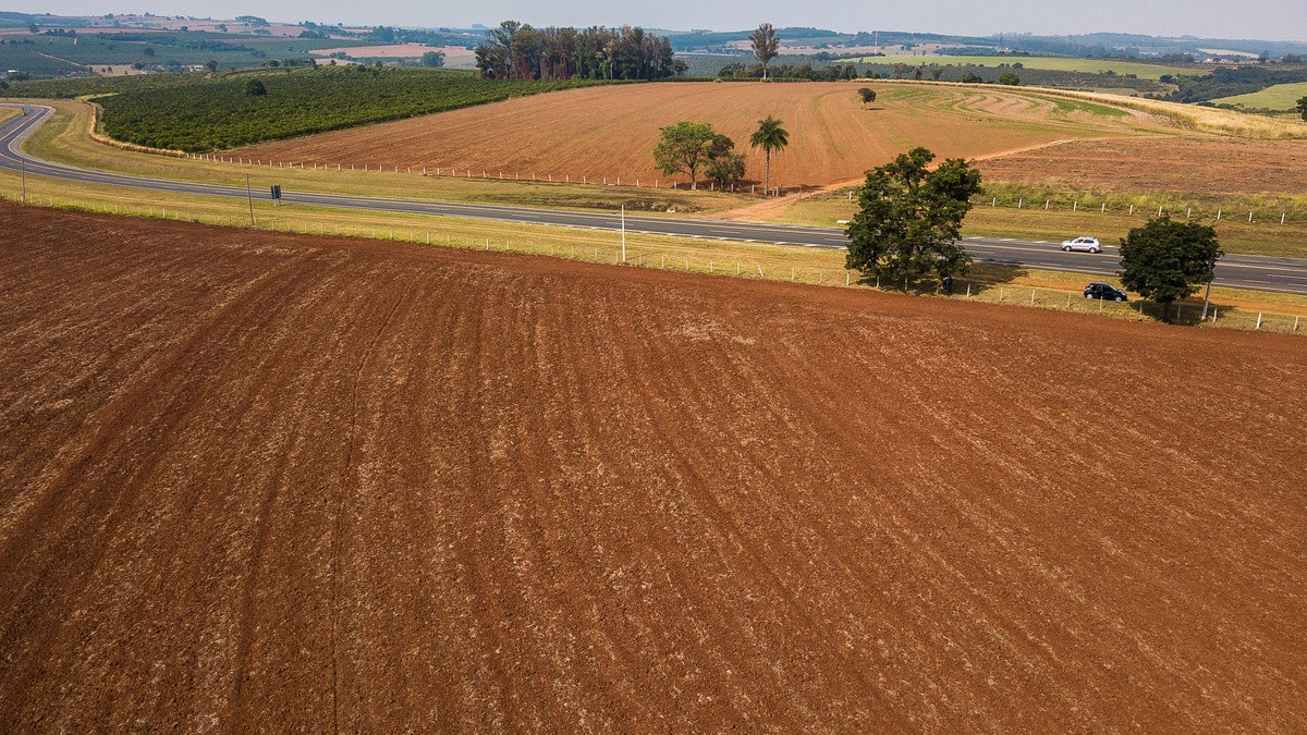 Le congé-reprise pour exploiter, la capacité professionnnelle exigée et le contrôle  des structures des exploitations agricoles