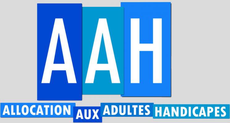 Avocat à Lille :  Quels sont les recours en cas de refus de l'AAH par la MDPH ?