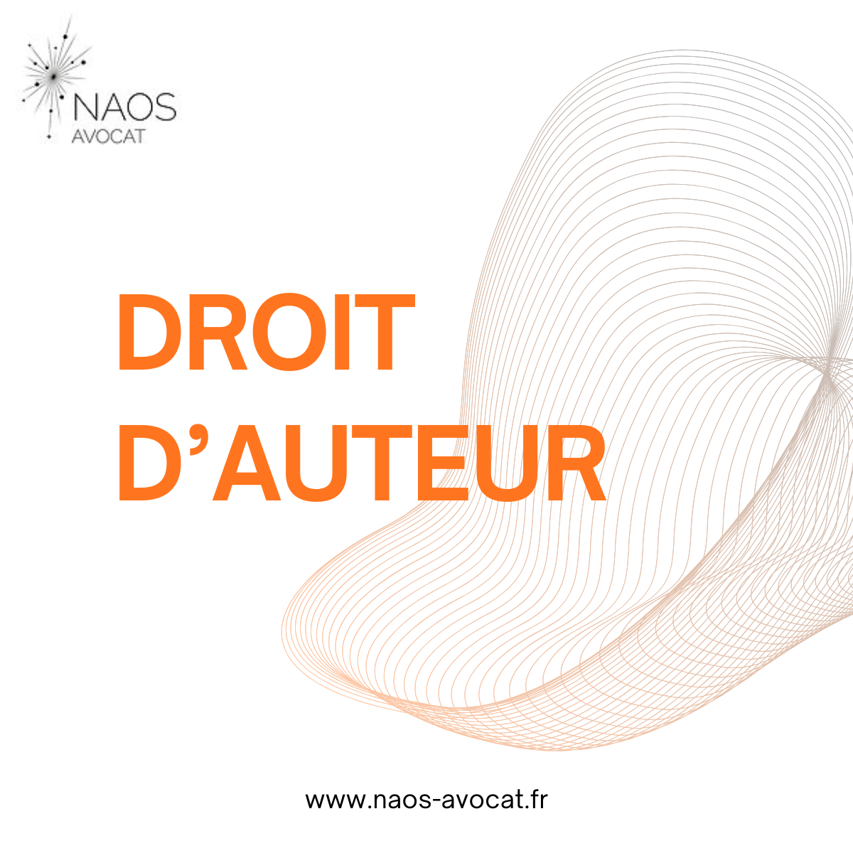 Droit d'auteur : l'esthétique ne suffit pas à démontrer l'originalité d'une oeuvre