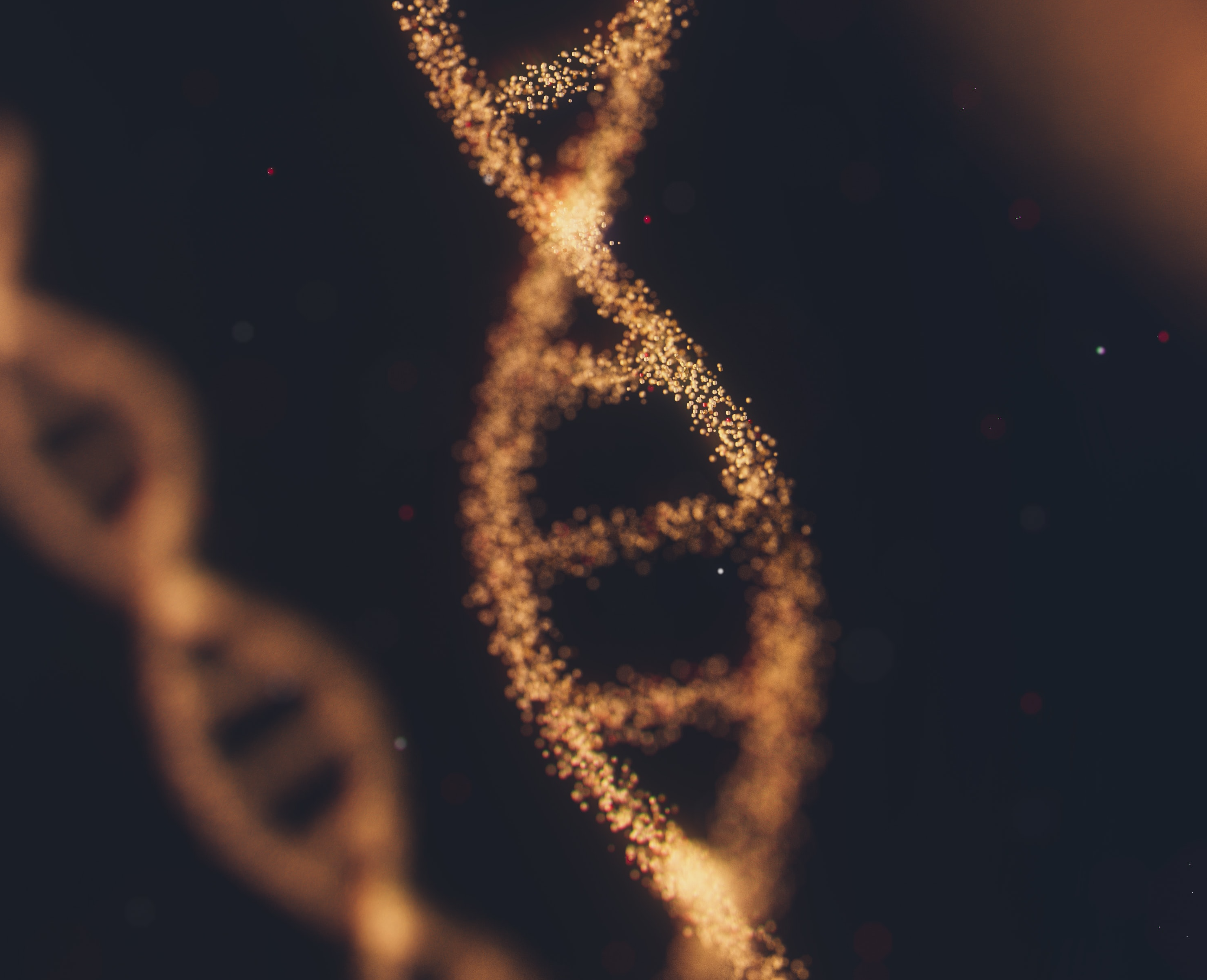 Chronique pénale du prélèvement d’ADN et du fichier national automatisé des empreintes génétiques (FNAEG)