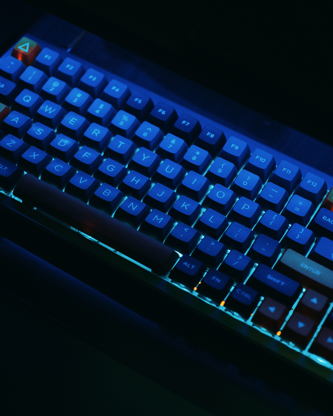 Vaynermedia168 : Une Arnaque Selon Les Avis