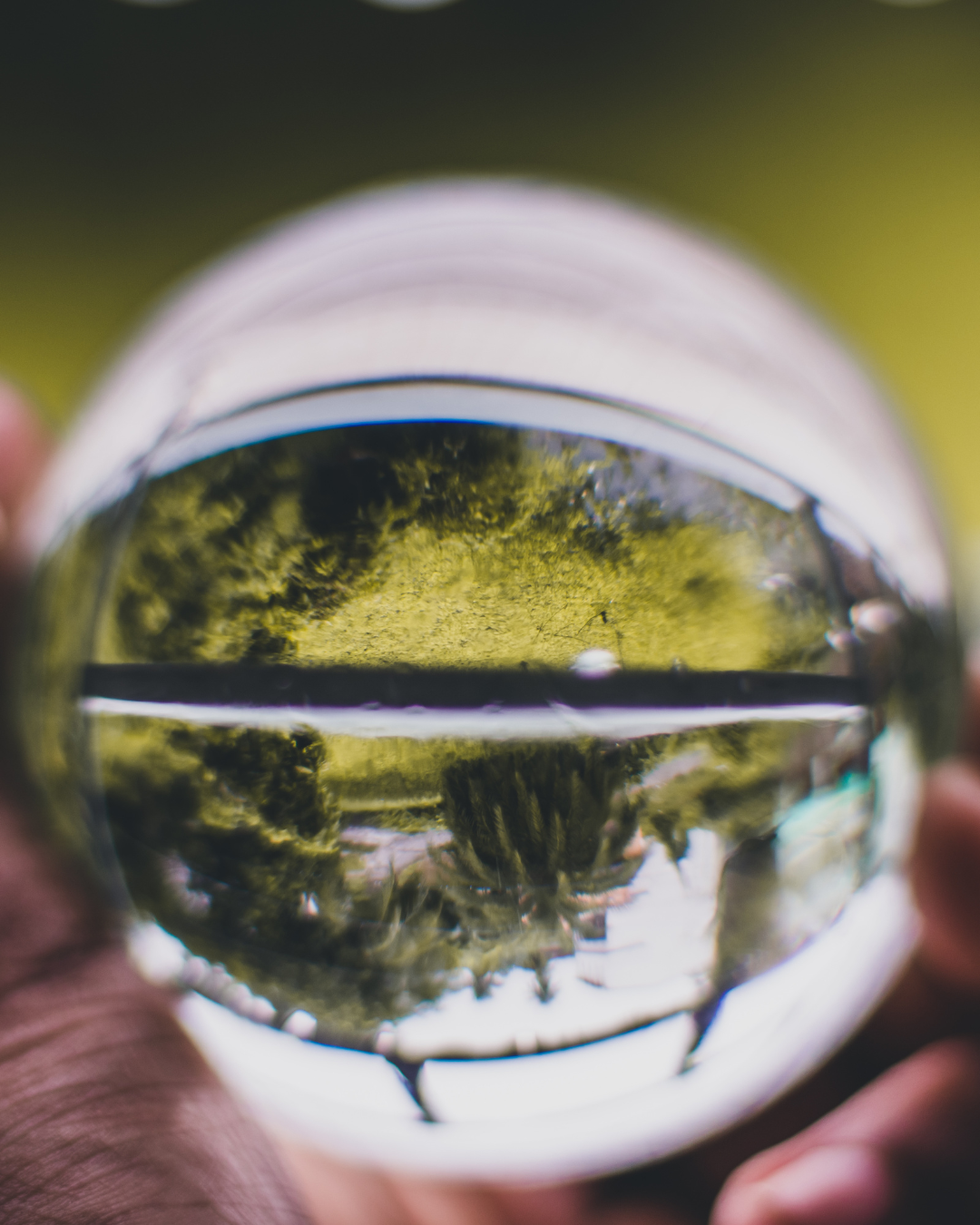 FirstVoyance : Une Arnaque Selon Les Avis