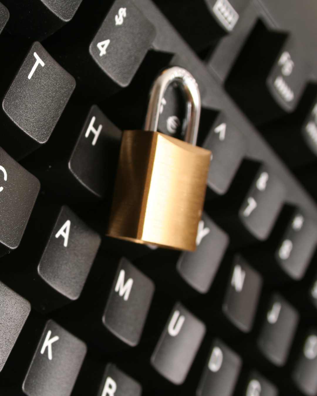 Edenparkz.sa.com : un site en ligne à haut risque d’arnaque