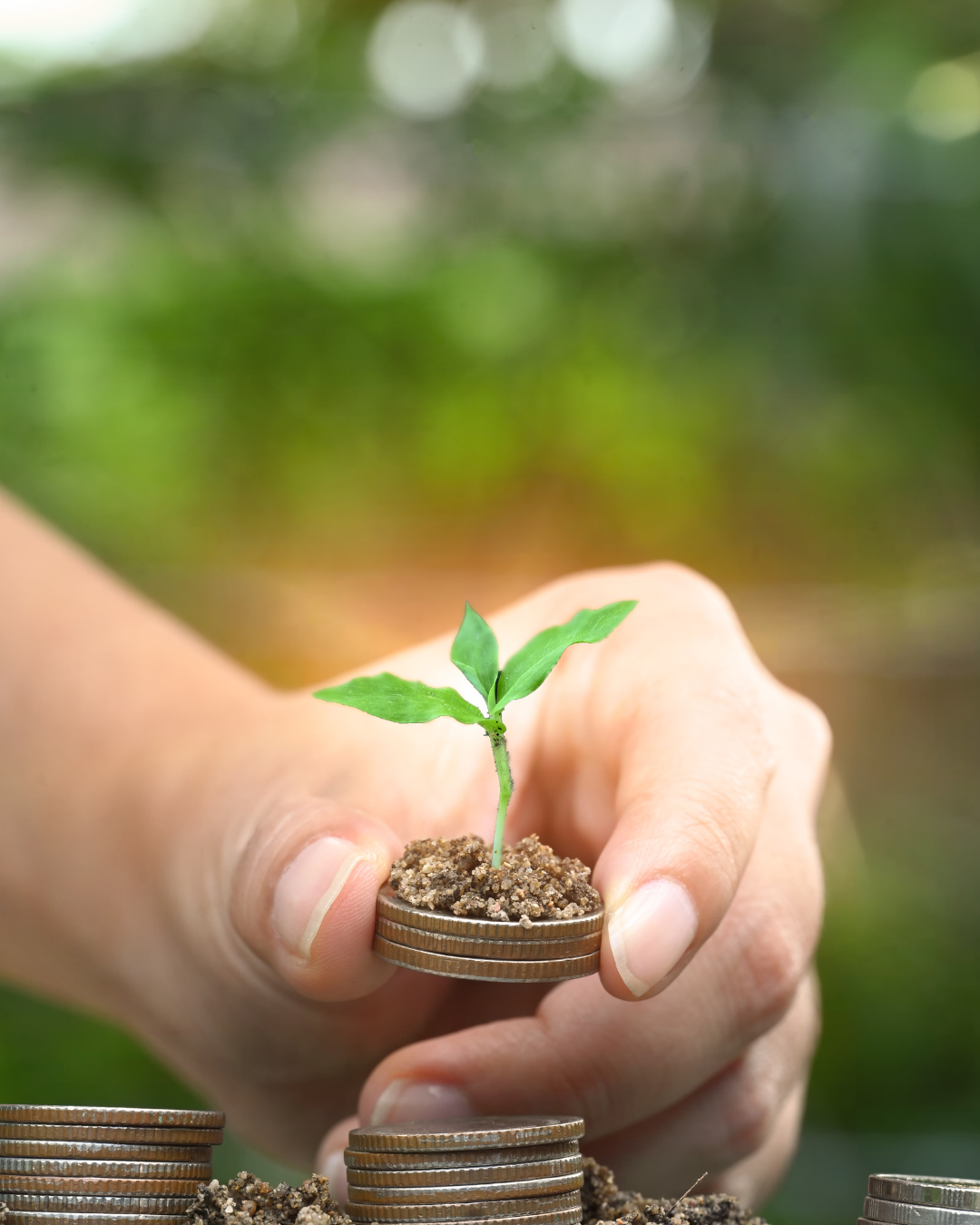 PARSTRADA : acteur d’investissement crédible ou risque d’arnaque financière ?