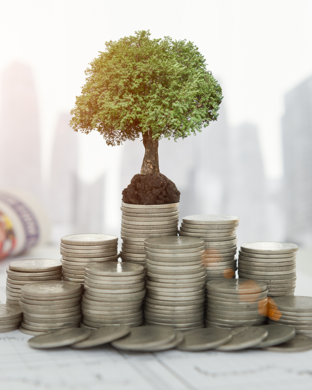 CIMCONTACT : Un site d’investissement fiable ou une arnaque déguisée ?