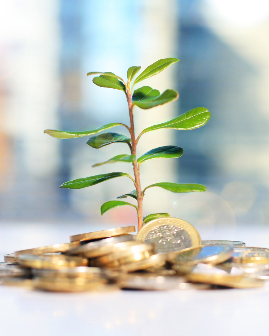 AlternativeFinance-Partners : Risques et Fiabilité de la Plateforme