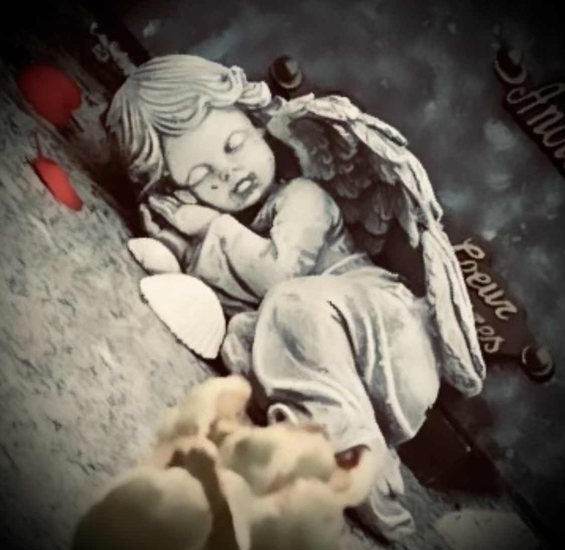 Indemnisation du deuil pathologique : un préjudice distinct du préjudice d’affection