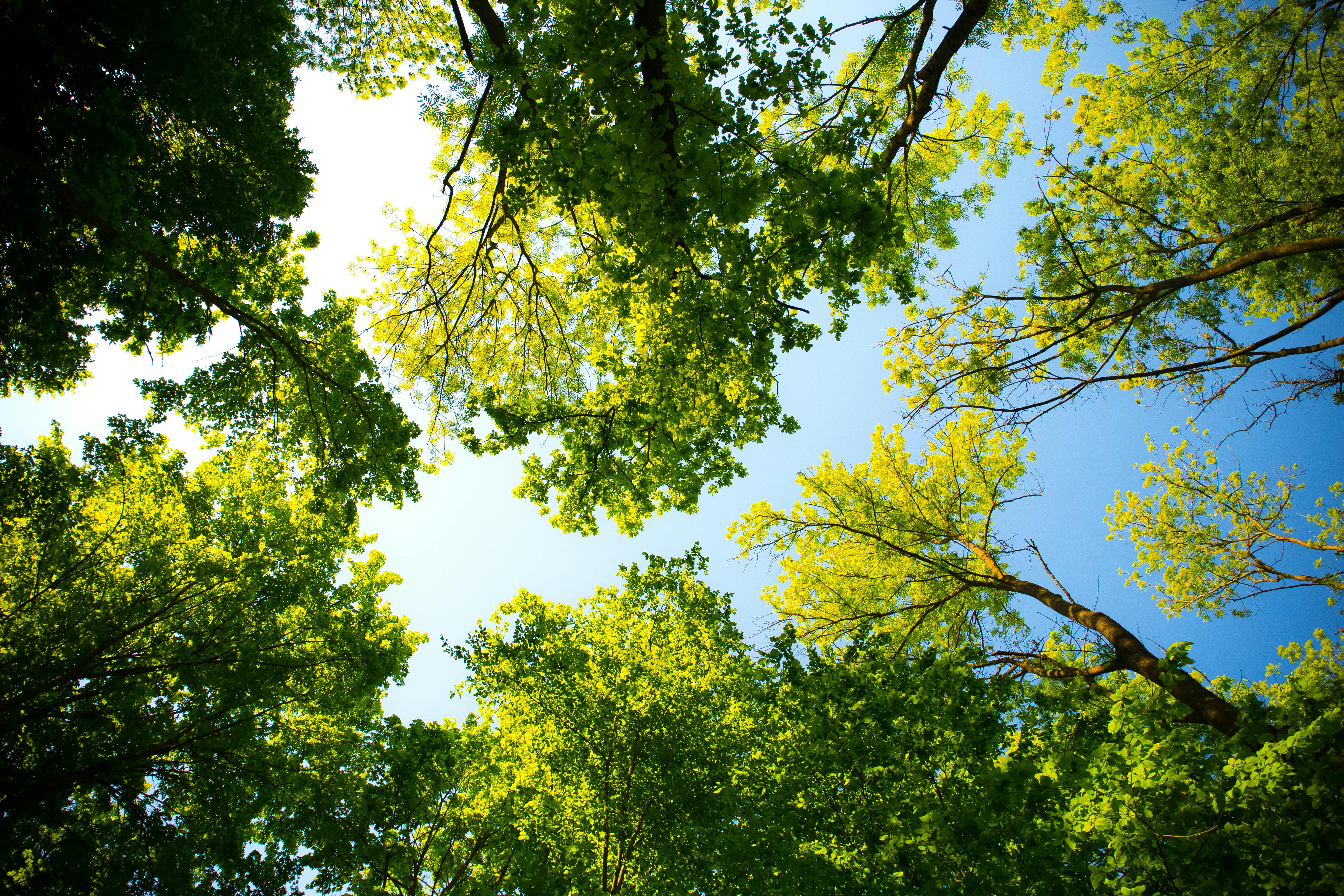 Quand la règlementation environnementale empêche une expropriation 