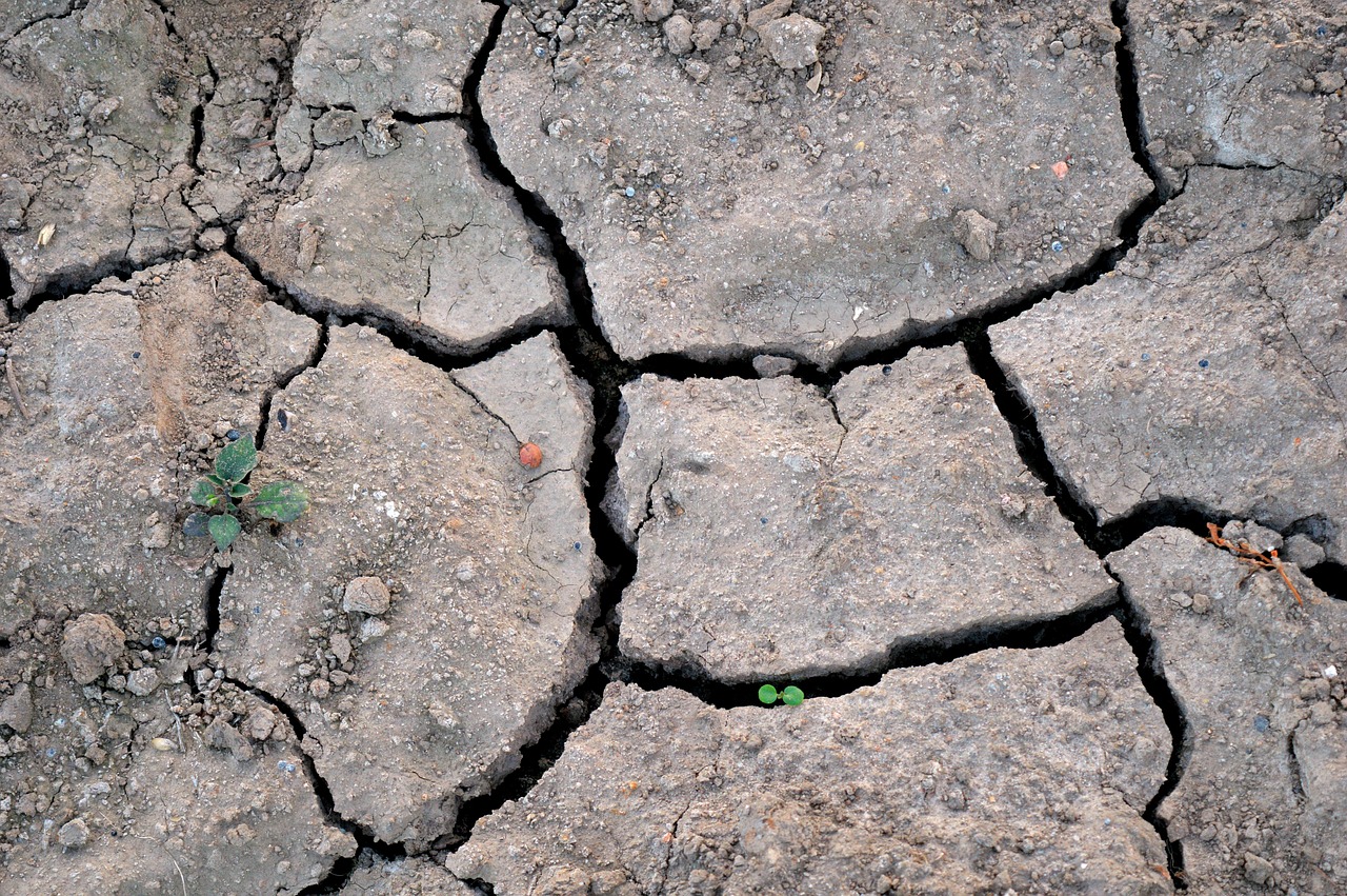 Arrêté CatNat des 24 et 25 novembre 2025  (JO n°282 du 02 décembre 2025)
