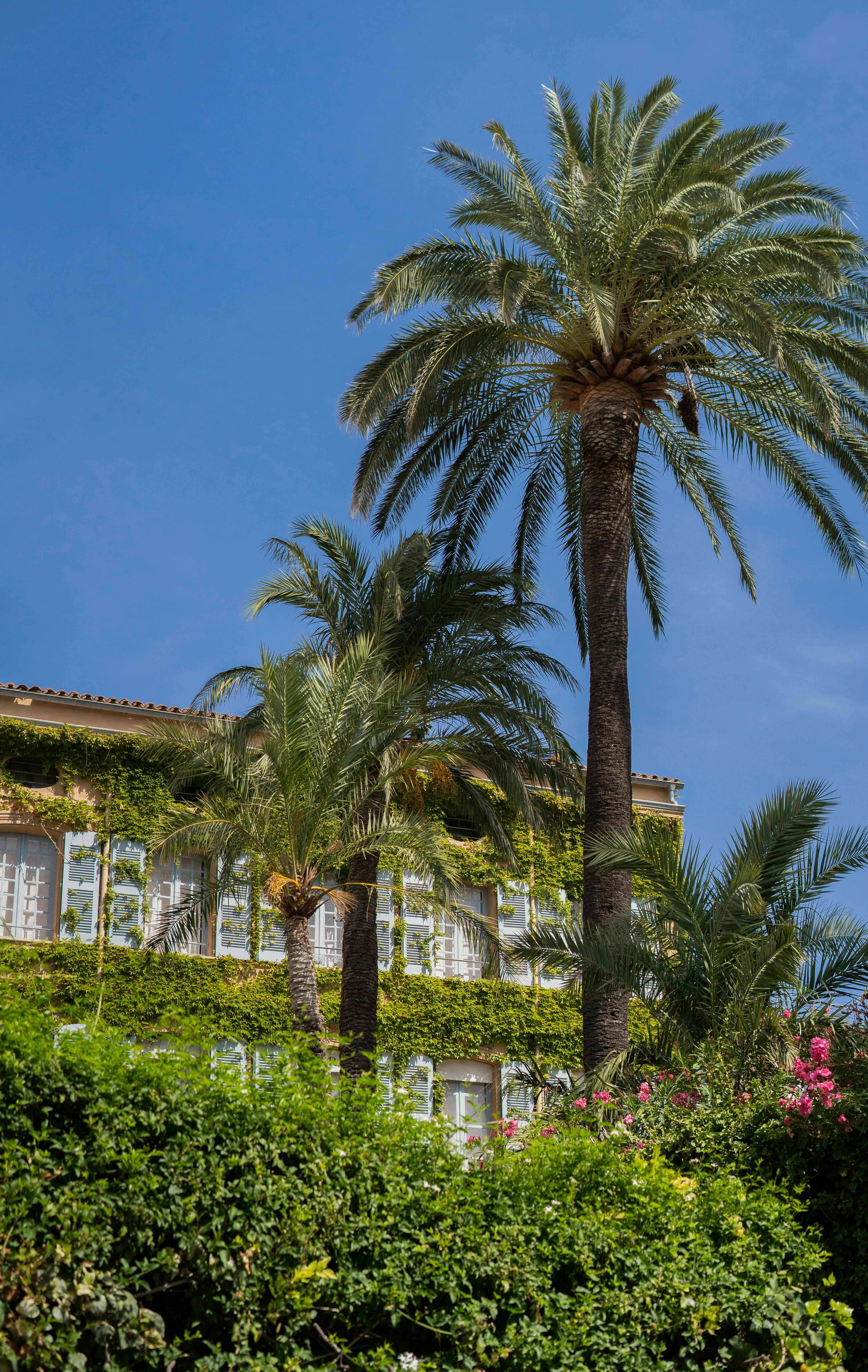 Investissements immobiliers étrangers en France : quelle structuration juridique et fiscale ?