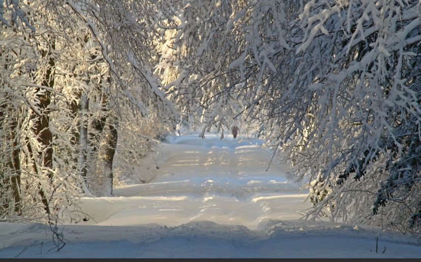Trêve Hivernale : ma bailleresse/mon bailleur peut-il m'expulser?