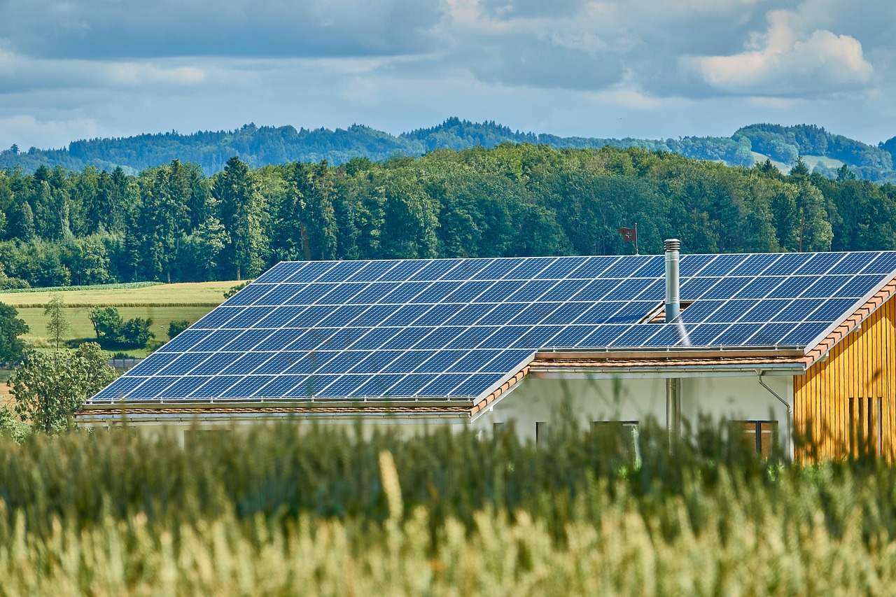 Avis CNPN photovoltaïque et biodiversité