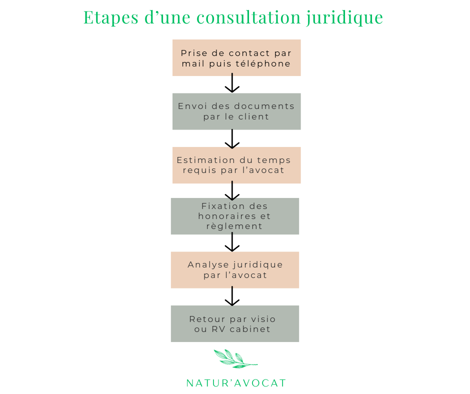 Quand consulter un avocat en droit de l'environnement et comment ça se passe ?