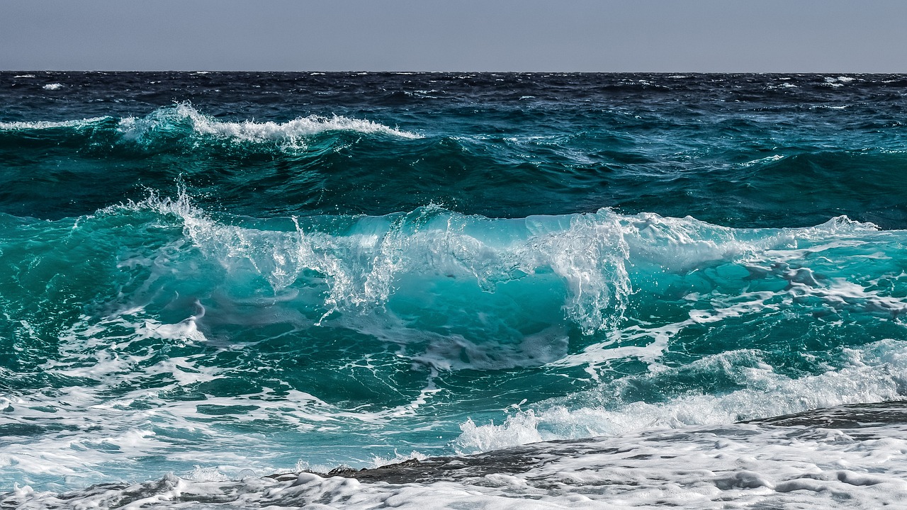 Préjudice écologique : le tribunal maritime de Marseille considère comme tel la destruction d’herbiers de posidonie