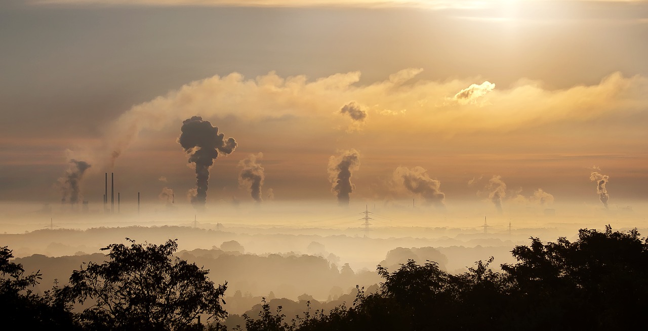 Qu'est ce que le préjudice écologique ? Analyse de jurisprudences