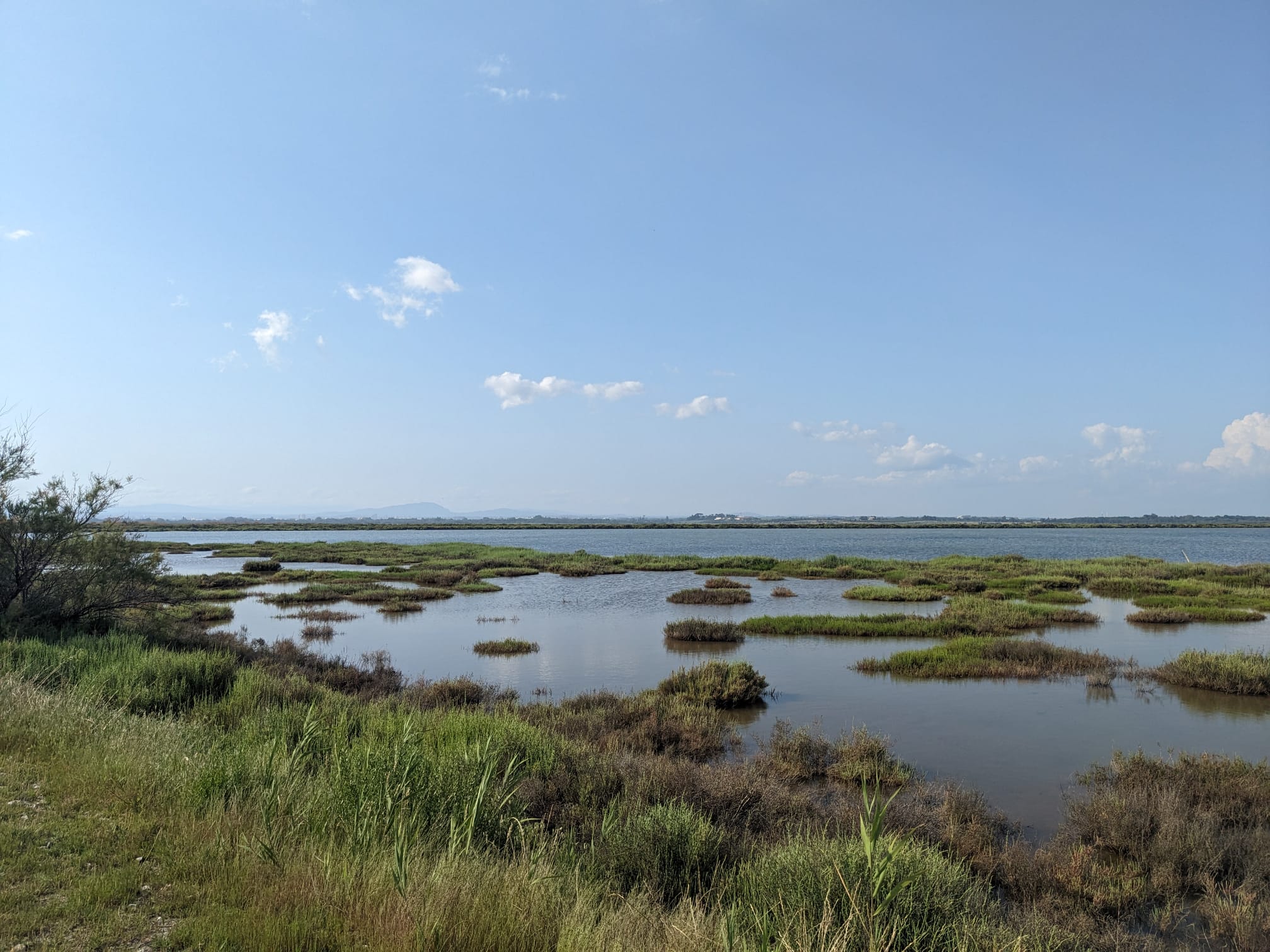 Qu'est-ce qu'une zone humide ?