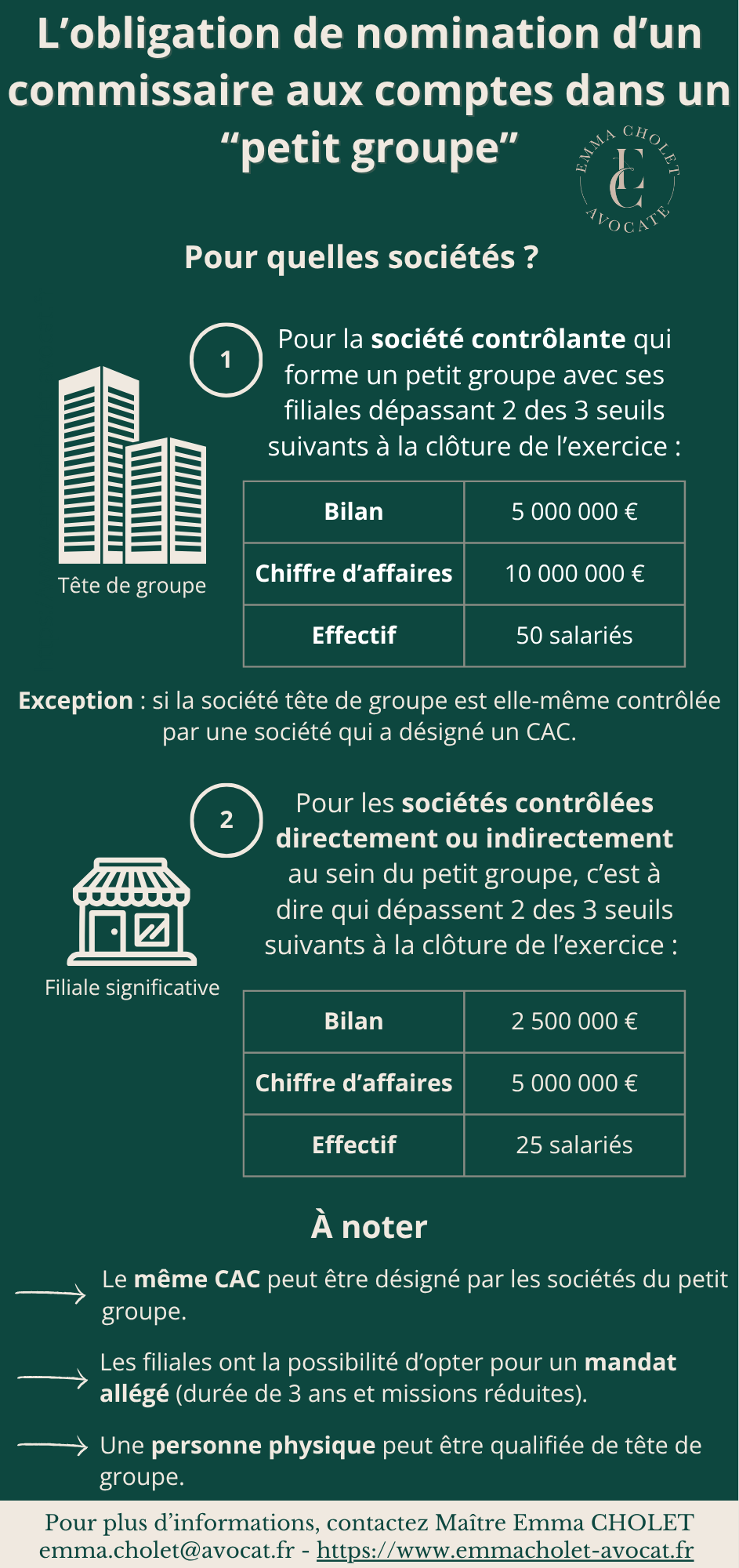 Obligation de nommer un commissaire aux comptes dans un groupe : quelles sociétés sont concernées ? 