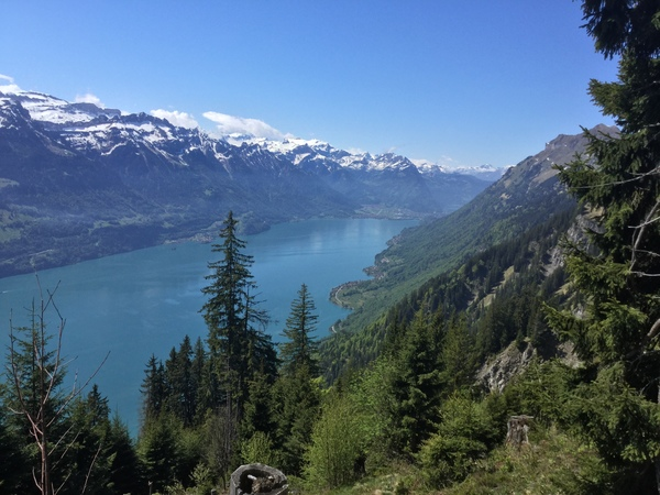 Crédit des Alpes